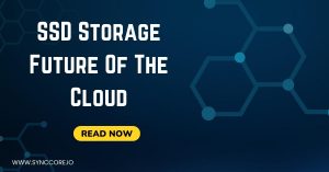 Read more about the article SSD Storage Future Of The Cloud