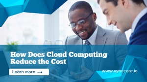 Read more about the article How Does Cloud Computing Reduce the Cost