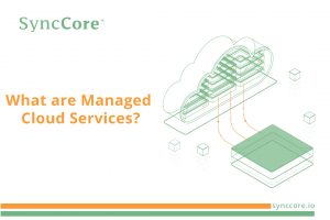 Read more about the article What are Managed Cloud Services?