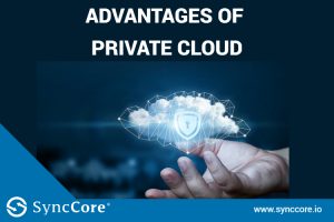 Read more about the article Advantages of Private Cloud