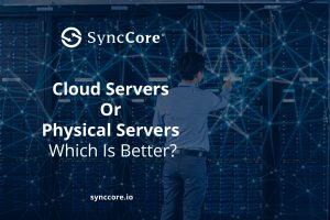 Read more about the article Cloud Servers or Physical Servers: Which Is Better?