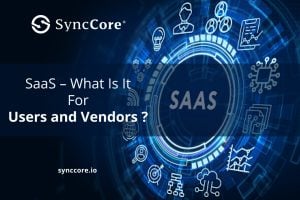 Read more about the article SaaS – What Is It for Users and Vendors?